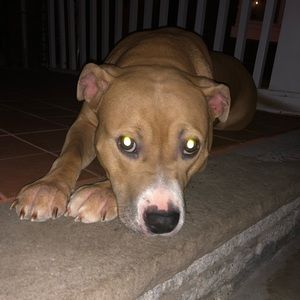 Meet your Posher, Andre